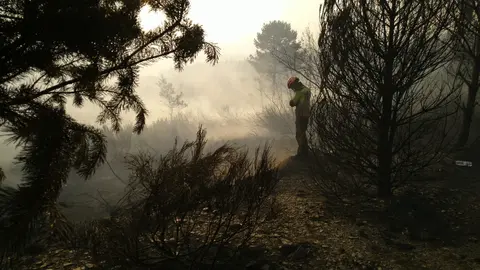 Imagen de la dotación de bomberos del Ayuntamiento de Ponferrada trabajando en el pueblo de Argayo del Sil, debido al incendio de Anllares. Foto: Ayuntamiento de Ponferrada.