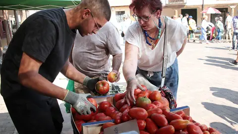 Celebración de la XXXVI Feria del Tomate de la localidad de Mansilla de las Mulas, (León). Foto: Peio García.