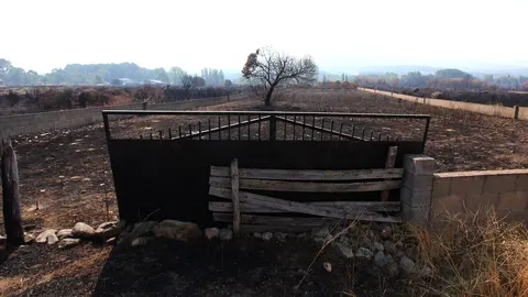Efectos del incendio de Castropodame (León). Foto: César Hornija.