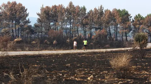 Efectos del incendio de Castropodame (León). Foto: César Hornija.