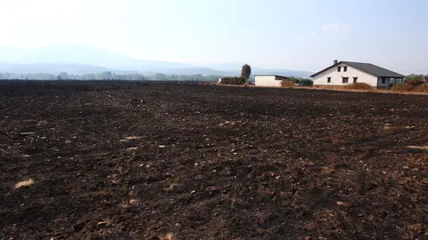 Efectos del incendio de Castropodame (León). Foto: César Hornija.