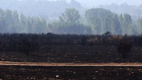 Efectos del incendio de Castropodame (León). Foto: César Hornija.