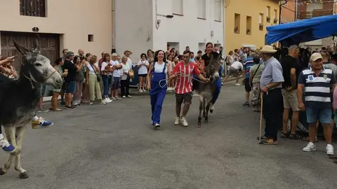 La burra 'Torda' se alza con la victoria en la tradicional carrera de burros de Noceda del Bierzo  La popular cita de las fiestas patronales celebró su 58.ª edición con gran ambiente, una decena de animales en competición y la reivindicación del burro como símbolo cultural del Bierzo. Fotos: José Luis García