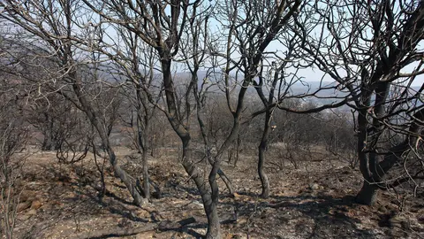 Efectos del incendio iniciado en la localidad de Yeres (León), y que ha afectado al paraje de Las Médulas. Foto: César Hornija.
