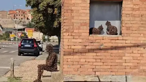 Intervención de Amancio González sobre la caseta del guarda agujas de Astorga para embellecer el Camino de Santiago.