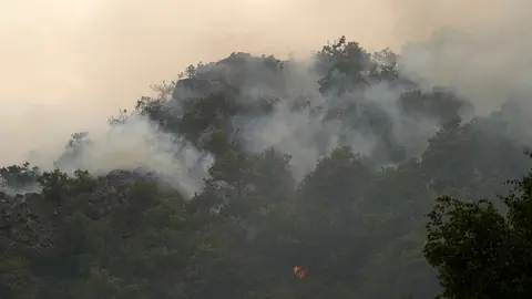 Incendio en Anllares del Sil (León). Foto: César Hornija.