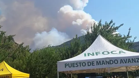 Miembros de Infoca de Andalucía colaboran en la extinción del incendio de Barniedo de la Reina (León)