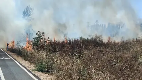 Los fuegos en La Robla, Cascantes y Azadinos obligan a retrasar la circulación de trenes en la línea León-La Robla