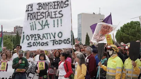 Una veintena de partidos políticos, sindicatos y organizaciones ciudadanas y vecinales han participado en una concentración frente al Parlamento autonómico para exigir al presidente de la Junta, Alfonso Fernández Mañueco, que cese al consejero de Medio Ambiente, Juan Carlos Suárez-Quiñones, por la gestión del operativo de incendios. Representantes de CSIF, UGT y CCOO se han sumado a la concentración. Fotos: Eduardo Margareto