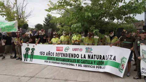 Una veintena de partidos políticos, sindicatos y organizaciones ciudadanas y vecinales han participado en una concentración frente al Parlamento autonómico para exigir al presidente de la Junta, Alfonso Fernández Mañueco, que cese al consejero de Medio Ambiente, Juan Carlos Suárez-Quiñones, por la gestión del operativo de incendios. Representantes de CSIF, UGT y CCOO se han sumado a la concentración. Fotos: Eduardo Margareto