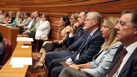 El presidente de la Junta, Alfonso Fernández Mañueco, durante el Pleno extraordinario de las Cortes. Foto: Rubén Cacho