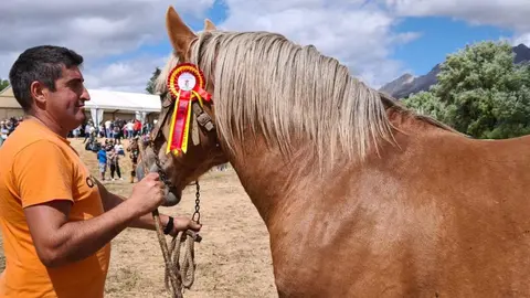 XXXV Concurso Hispano Bretón en San Emiliano