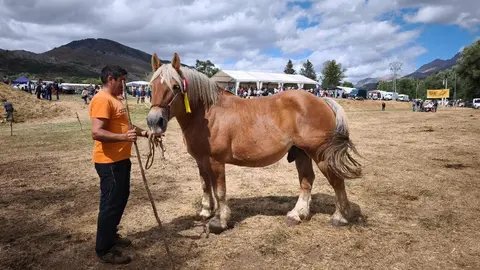 XXXV Concurso Hispano Bretón en San Emiliano