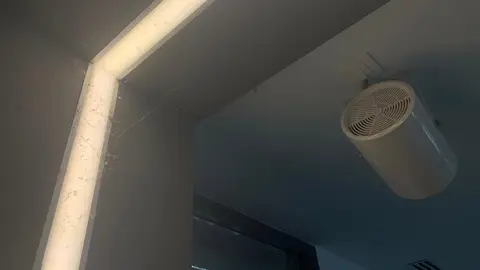 Los insectos 'toman' la estación de autobuses solo año y medio después de su reapertura.