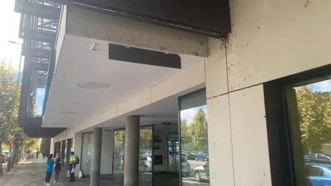 Los insectos 'toman' la estación de autobuses solo año y medio después de su reapertura.