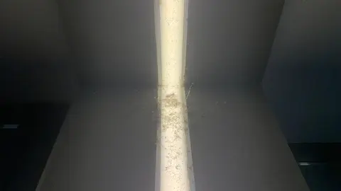 Los insectos 'toman' la estación de autobuses solo año y medio después de su reapertura.