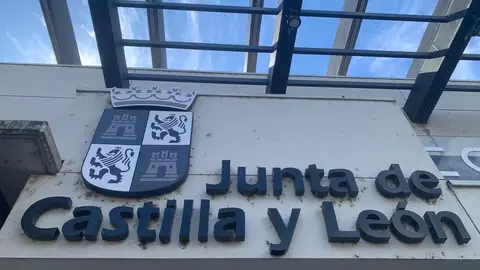 Los insectos 'toman' la estación de autobuses solo año y medio después de su reapertura.