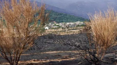 Zona afectada por los incendios en Chana de Somoza, en el municipio de Lucillo (León). Foto: Campillo.