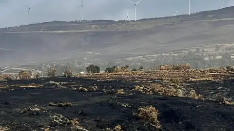 Zona afectada por los incendios en Chana de Somoza, en el municipio de Lucillo (León). Foto: Campillo.