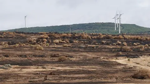 Zona afectada por los incendios en Chana de Somoza, en el municipio de Lucillo (León). Foto: Campillo.
