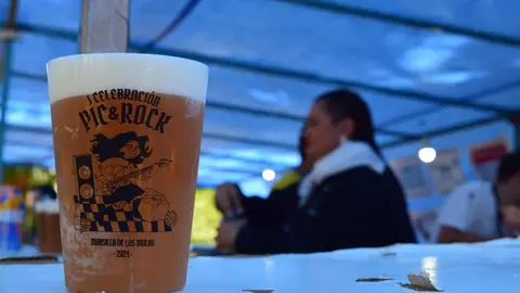 Un instante de la primera edición del Festival Pic&Rock de Mansilla de las Mulas. Foto: Belén Louzao.