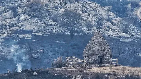 El Chozo del Pastor, símbolo de resistencia tras los incendios en la Montaña Oriental Leonesa. Carlos Fernández, de Lucha por la Montaña, denuncia la falta de protocolos y alerta de que 120.000 hectáreas han quedado arrasadas en el mayor desastre natural de la provincia. Fotos de Carlos Fernández