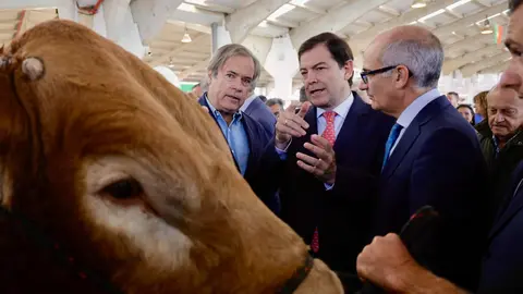 El presidente de la Junta de Castilla y León, Alfonso Fernández Mañueco, junto con el presidente de la Diputación de Salamanca, Javier Iglesias, inaugura Salamaq 2025, la Feria del Sector Agropecuario y 36 Exposición Internacional de Ganado Puro, que se celebra del 4 al 8 de septiembre. Fotos: Susana Martín