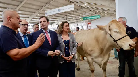El presidente de la Junta de Castilla y León, Alfonso Fernández Mañueco, junto con el presidente de la Diputación de Salamanca, Javier Iglesias, inaugura Salamaq 2025, la Feria del Sector Agropecuario y 36 Exposición Internacional de Ganado Puro, que se celebra del 4 al 8 de septiembre. Fotos: Susana Martín