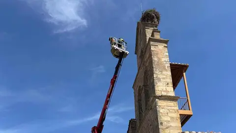 Los Bomberos de la Diputación de León (Sepeis) han intervenido en varios puntos de la provincia durante el fin de semana. Incendios, nidos de cigüeña y velutina y fuegos de pasto marcaron una intensa actividad para los parques de Celada, Cistierna y Valencia de Don Juan.