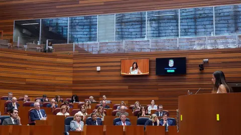Segunda jornada de la primera sesión plenaria del curso en las Cortes de Castilla y León. Fotos: Miriam Chacón