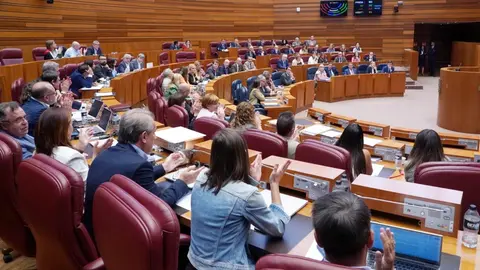 Segunda jornada de la primera sesión plenaria del curso en las Cortes de Castilla y León. Fotos: Miriam Chacón)