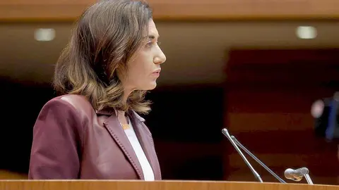 Segunda jornada de la primera sesión plenaria del curso en las Cortes de Castilla y León. En la imagen, la procuradora de UPL, Alicia Gallego.