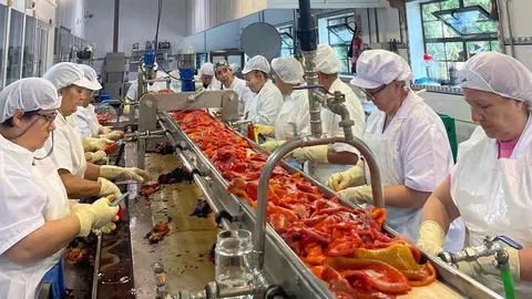 En el obrador del Palacio de Canedo, Prada a Tope ya ha comenzado la elaboración de los pimientos asados del Bierzo, “cosechados aquí en El Bierzo, nunca de otro sitio”, según explican desde la emblemática firma.
