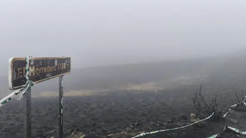 El Alto del Morredero, escenario final de la decimoséptima etapa de La Vuelta a España 2025, ofreció este miércoles unas imágenes impactantes. El fuego que arrasó la comarca de Llamas de Cabrera ha transformado un paraje verde y lleno de vida en un paisaje desértico y negro, salpicado por algunos árboles y matojos que recuerdan la riqueza natural que antes albergaba el monte.