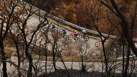 El Alto del Morredero, escenario final de la decimoséptima etapa de La Vuelta a España 2025, ofreció este miércoles unas imágenes impactantes. El fuego que arrasó la comarca de Llamas de Cabrera ha transformado un paraje verde y lleno de vida en un paisaje desértico y negro, salpicado por algunos árboles y matojos que recuerdan la riqueza natural que antes albergaba el monte.
