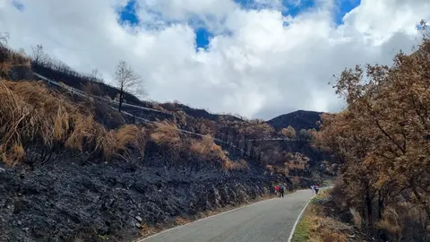 El Alto del Morredero, escenario final de la decimoséptima etapa de La Vuelta a España 2025, ofreció este miércoles unas imágenes impactantes. El fuego que arrasó la comarca de Llamas de Cabrera ha transformado un paraje verde y lleno de vida en un paisaje desértico y negro, salpicado por algunos árboles y matojos que recuerdan la riqueza natural que antes albergaba el monte.