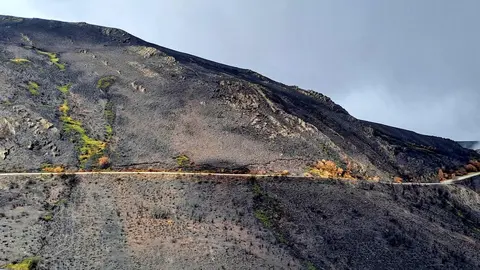 El Alto del Morredero, escenario final de la decimoséptima etapa de La Vuelta a España 2025, ofreció este miércoles unas imágenes impactantes. El fuego que arrasó la comarca de Llamas de Cabrera ha transformado un paraje verde y lleno de vida en un paisaje desértico y negro, salpicado por algunos árboles y matojos que recuerdan la riqueza natural que antes albergaba el monte.