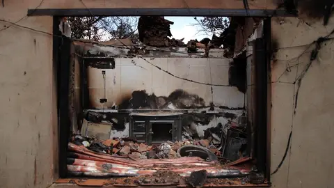 En medio de la desesperación crece la esperanza. Entre el caos, brotes verdes. Las imágenes recogidas por el fotógrafo Peio García en la localidad de Castrocalbón evidencian el duro proceso de reconstrucción tras el atroz fuego de este verano.