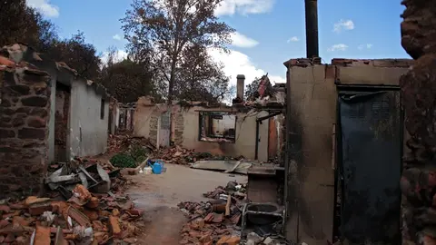 En medio de la desesperación crece la esperanza. Entre el caos, brotes verdes. Las imágenes recogidas por el fotógrafo Peio García en la localidad de Castrocalbón evidencian el duro proceso de reconstrucción tras el atroz fuego de este verano.