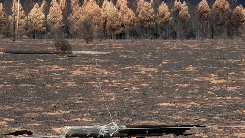 En medio de la desesperación crece la esperanza. Entre el caos, brotes verdes. Las imágenes recogidas por el fotógrafo Peio García en la localidad de Castrocalbón evidencian el duro proceso de reconstrucción tras el atroz fuego de este verano.