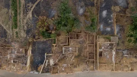 Palacios de Jamuz, un mes después del fuego: la cicatriz que clama prevención
Entre la desolación y la movilización, Greenpeace exige políticas eficaces contra los incendios forestales en uno de los municipios más castigados de 2025.