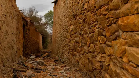 Entre la desolación y la movilización, Greenpeace exige políticas eficaces contra los incendios forestales en uno de los municipios más castigados de 2025.
