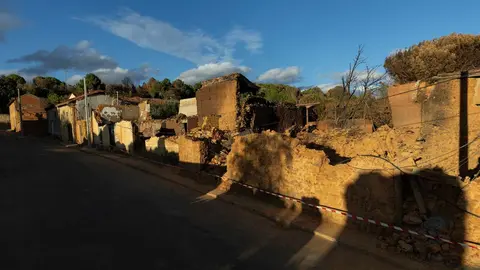 Entre la desolación y la movilización, Greenpeace exige políticas eficaces contra los incendios forestales en uno de los municipios más castigados de 2025.