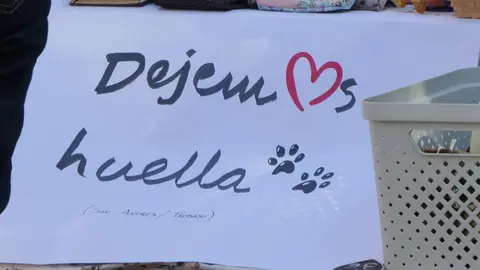 Éxito de la ReMásQFiesta en León con el lema 'Por un León más animal'. La plaza San Salvador del Nido reunió a decenas de personas en apoyo al Banco de Alimentos para Animales de Familias sin Recursos. Reportaje gráfico de Marien del Canto.