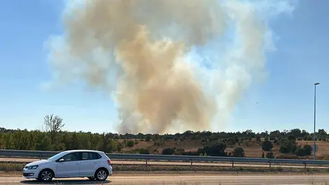 El fuego, declarado en Quintana de Raneros (Santovenia de la Valdoncina), avanzó con rapidez hacia la autopista y estuvo a punto de provocar su corte. Fotos: Alfredo