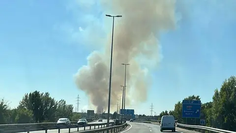 El fuego, declarado en Quintana de Raneros (Santovenia de la Valdoncina), avanzó con rapidez hacia la autopista y estuvo a punto de provocar su corte. Fotos: Alfredo