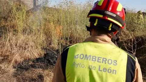 El fuego, declarado en Quintana de Raneros (Santovenia de la Valdoncina), avanzó con rapidez hacia la autopista y estuvo a punto de provocar su corte; las llamas sí cortaron el tráfico ferroviario. Fotos: Campillo
