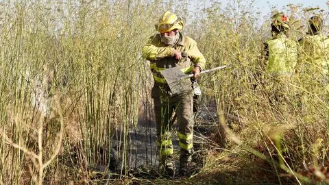 El fuego, declarado en Quintana de Raneros (Santovenia de la Valdoncina), avanzó con rapidez hacia la autopista y estuvo a punto de provocar su corte; las llamas sí cortaron el tráfico ferroviario. Fotos: Campillo