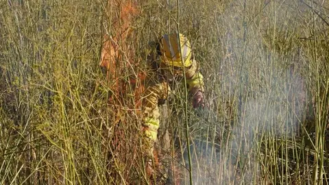El fuego, declarado en Quintana de Raneros (Santovenia de la Valdoncina), avanzó con rapidez hacia la autopista y estuvo a punto de provocar su corte; las llamas sí cortaron el tráfico ferroviario. Fotos: Campillo