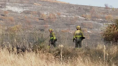 El fuego, declarado en Quintana de Raneros (Santovenia de la Valdoncina), avanzó con rapidez hacia la autopista y estuvo a punto de provocar su corte; las llamas sí cortaron el tráfico ferroviario. Fotos: Campillo
